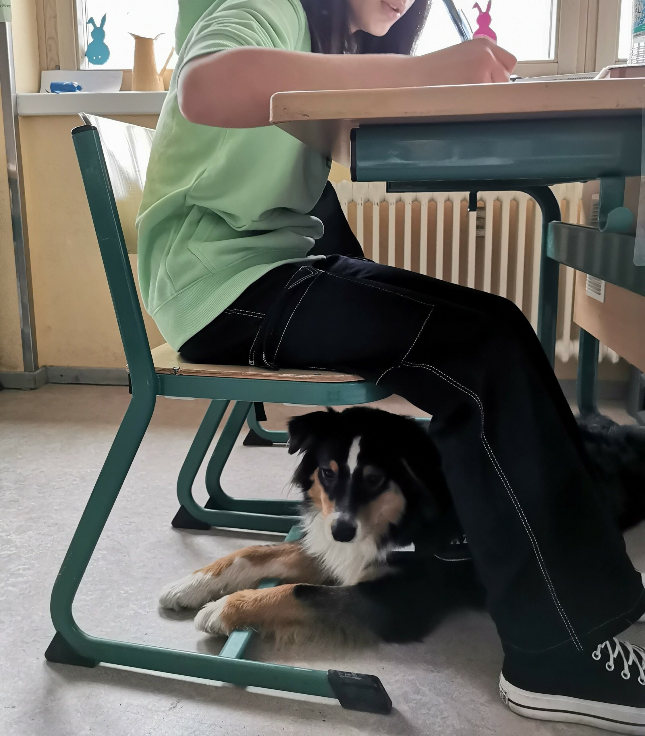 IMG_20230321_085313 (3)